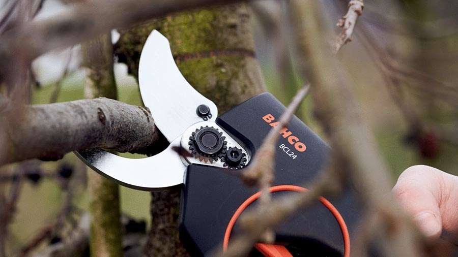 Sécateur électrique 45 mm BCL24 Bahco, idéal pour un usage intensif - Zone  Outillage