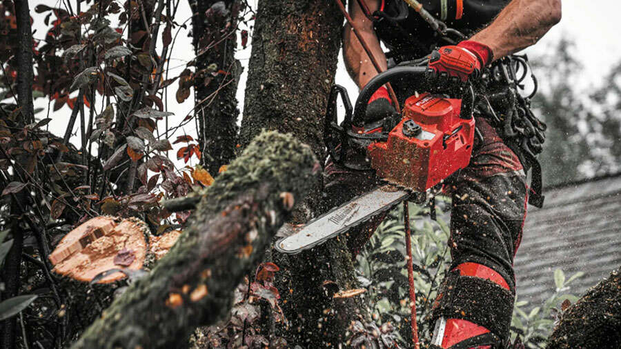 Découvrez notre gamme d'outillage forestier !